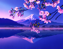 富士山　鴨　湖　朝　あけぼの　雪　日本一　逆さ富士　春　桜の枝